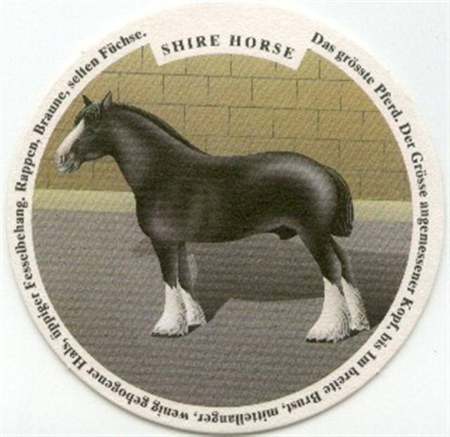 winterthur zh-ch haldengut pferde 6b (rund210-shire horse) 